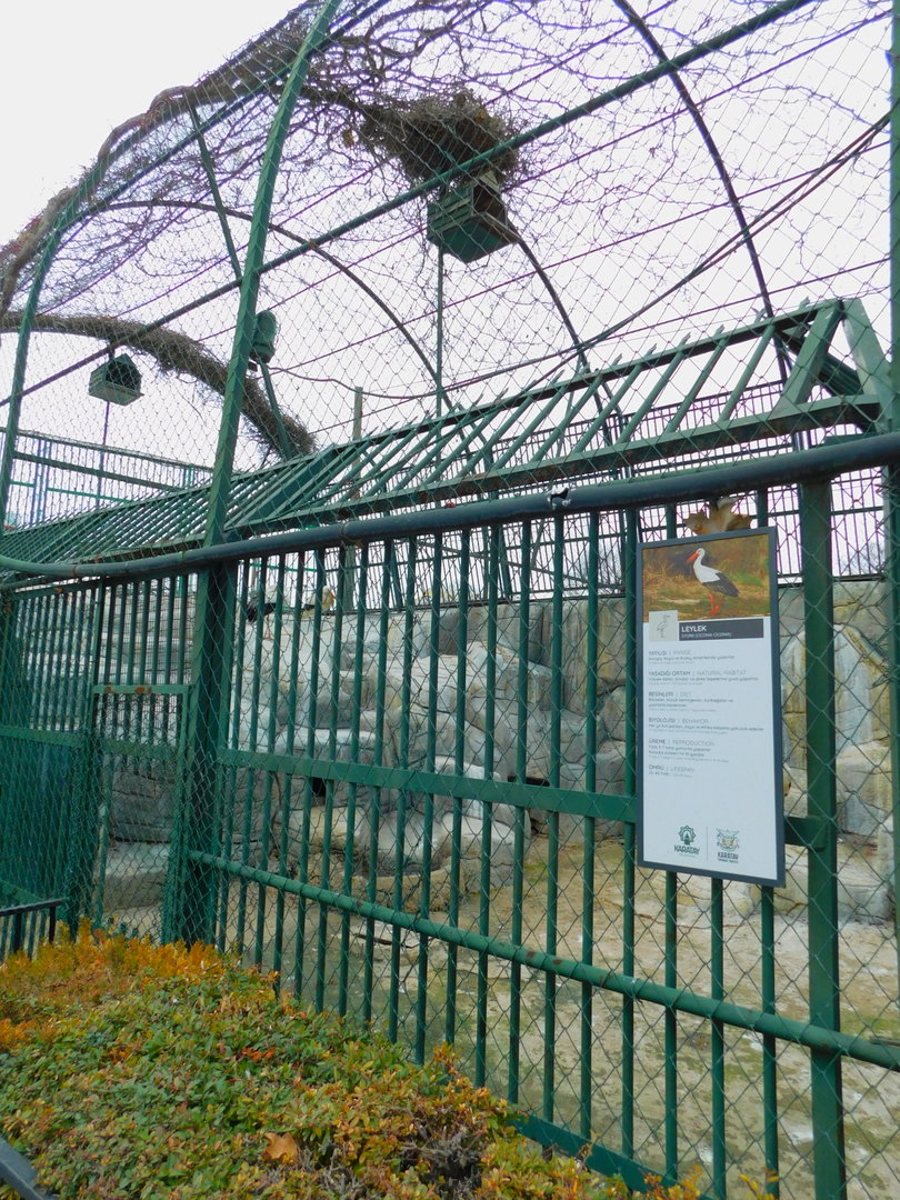White Stork Enclosure at the Karatay Zoo