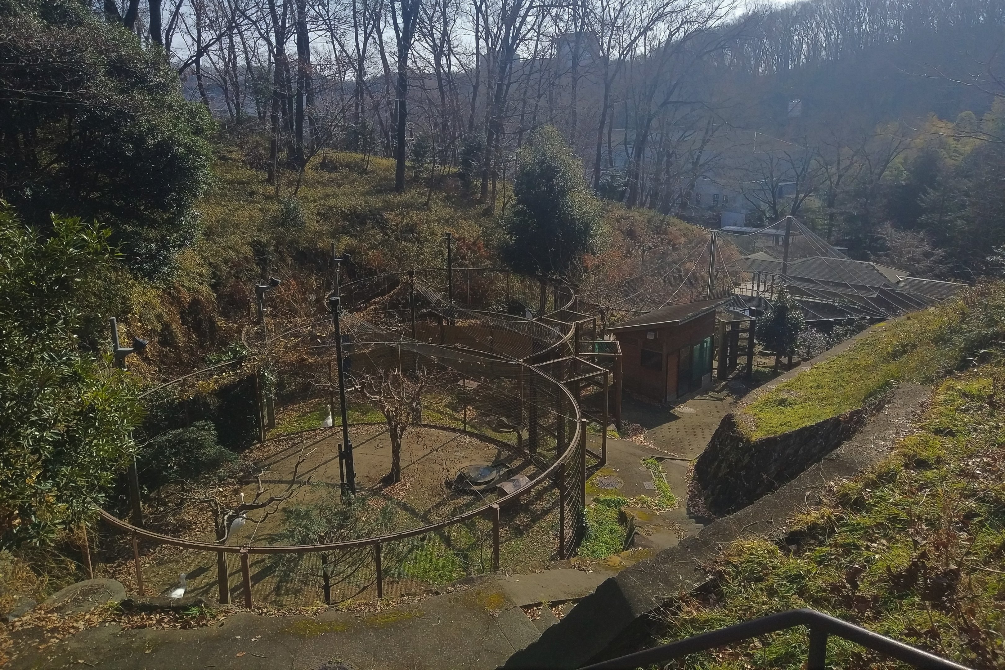 White Stork Exhibits