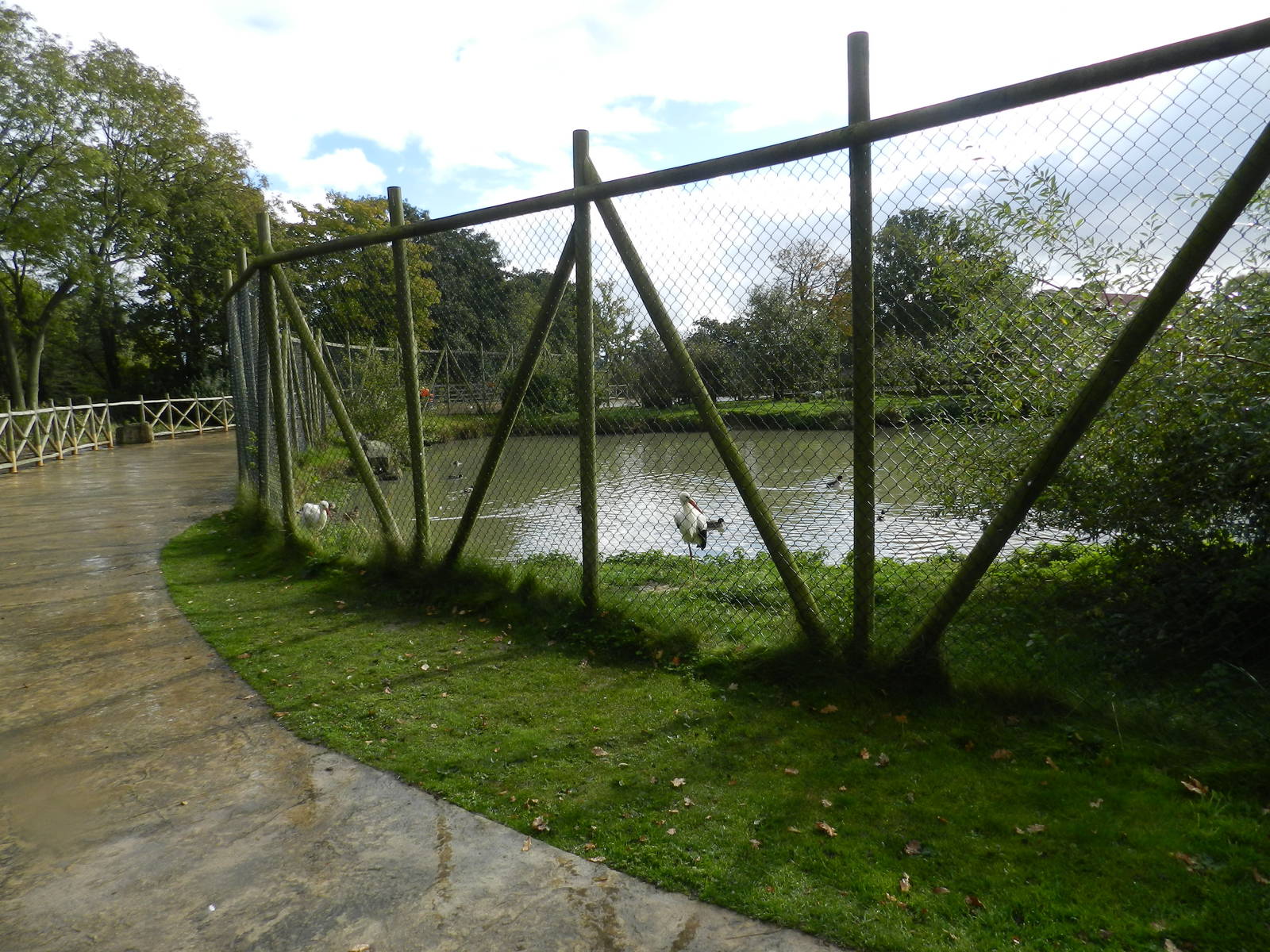 White Stork Lake at Flamingo Land - 14/10/2012
