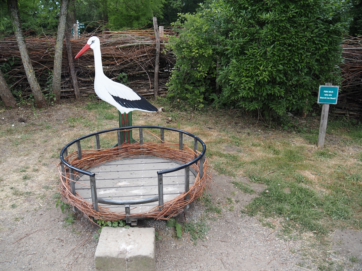 White stork nest photo op, 2025-05-22