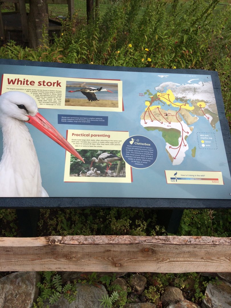 White Stork Signage