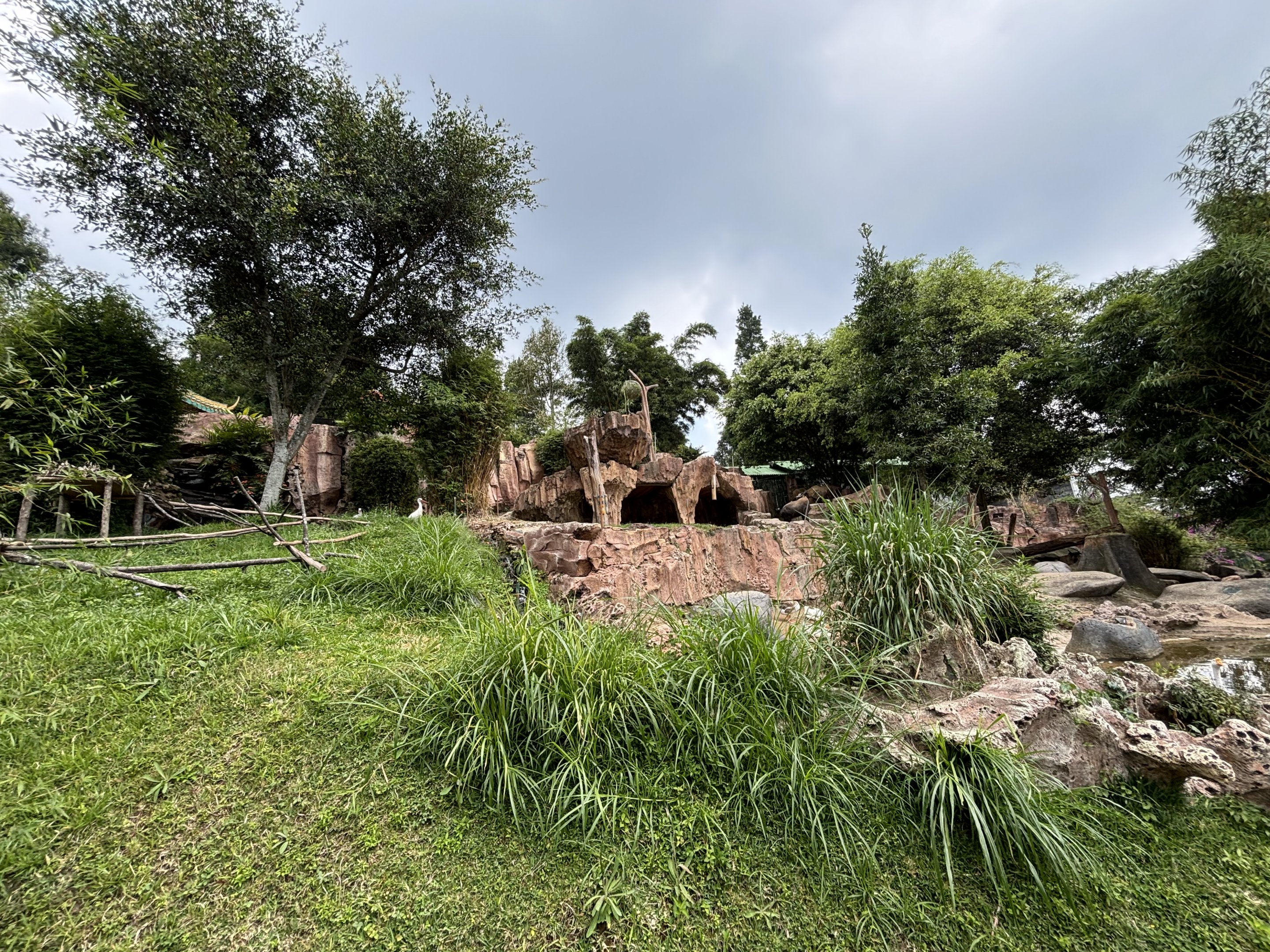 White Stork + Takin Exhibits - Giant Panda Complex