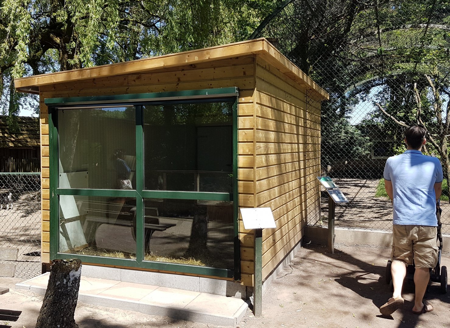 White-striped dorcopsis enclosure