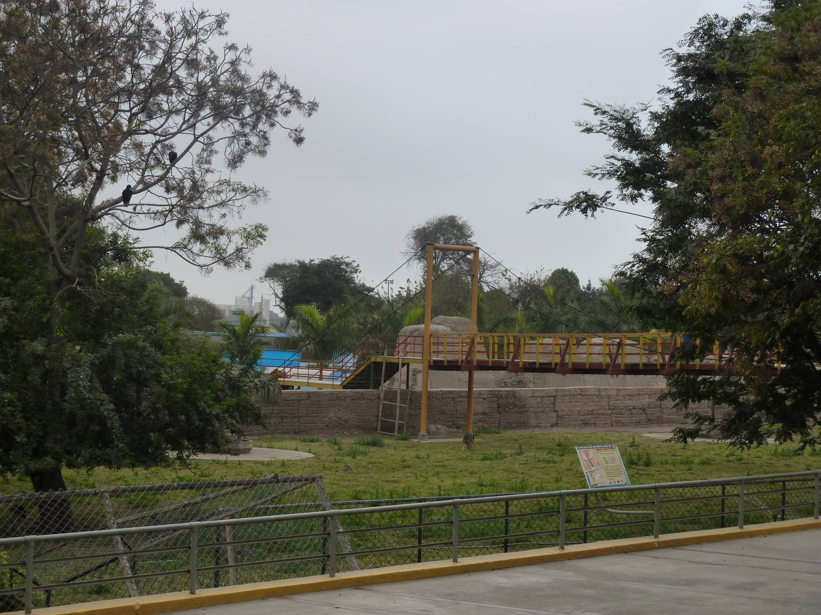 White-tailed deer enclosure