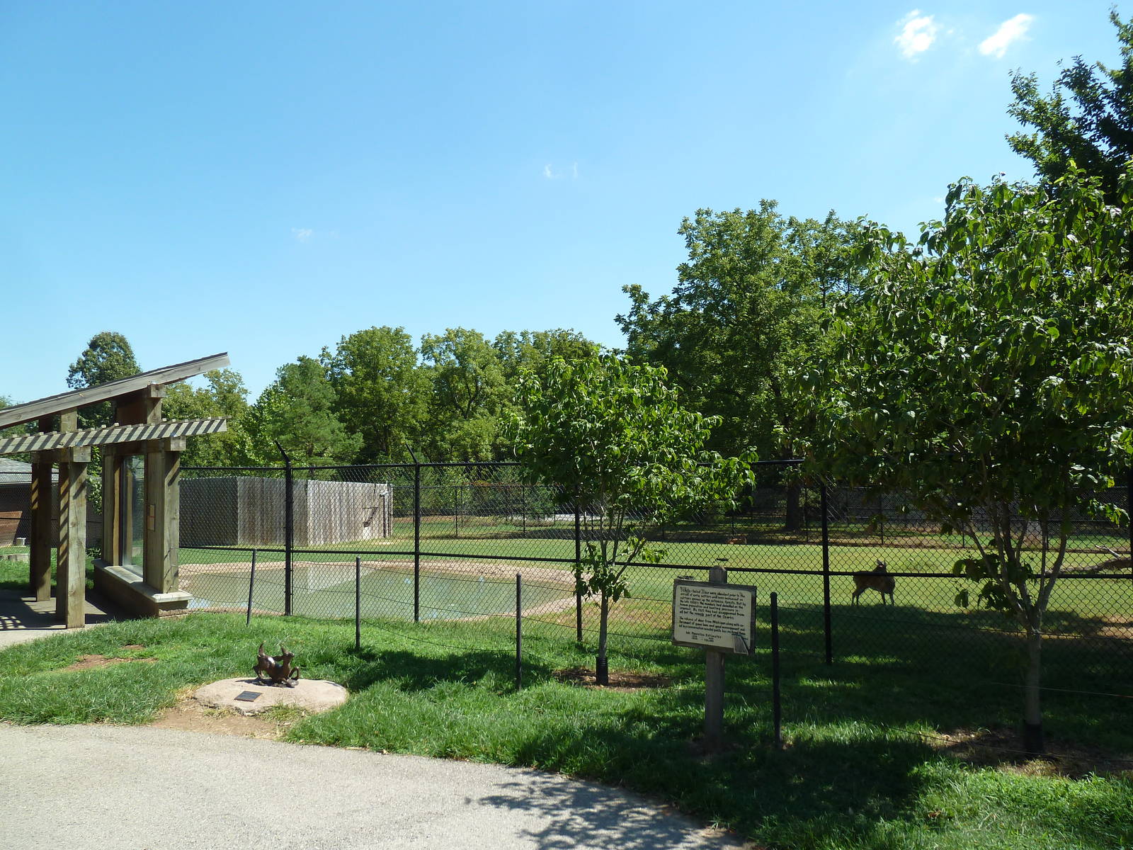 White-Tailed Deer Exhibit