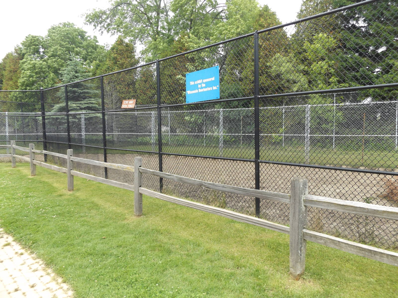 White- tailed Deer Exhibit