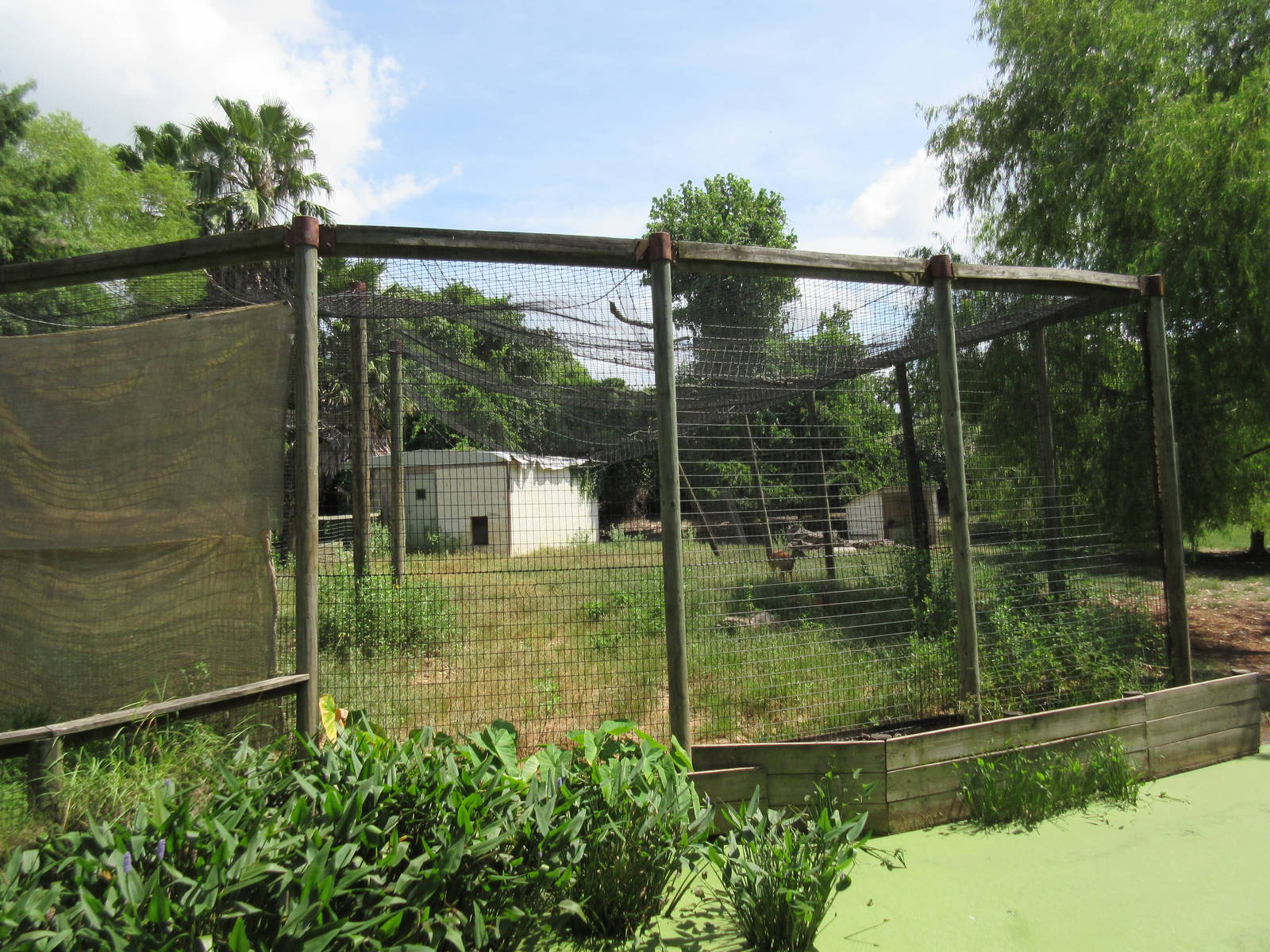 White-Tailed Deer Exhibit
