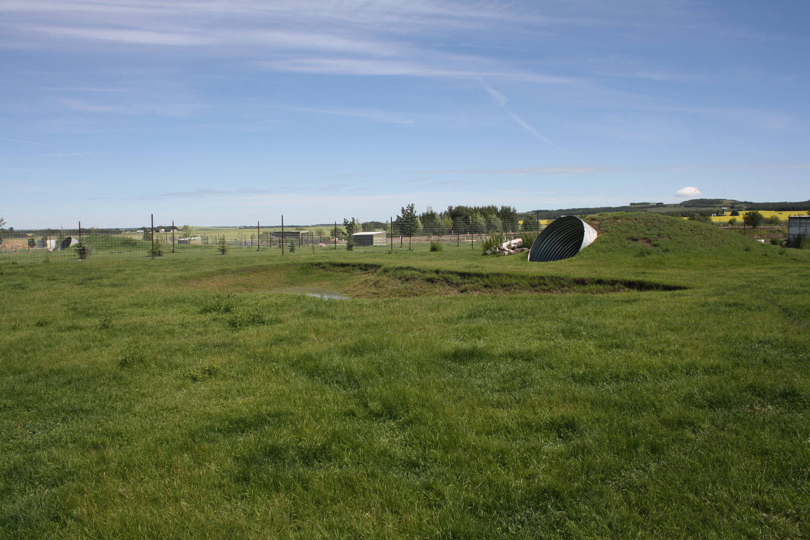 White-Tailed Deer Exhibit