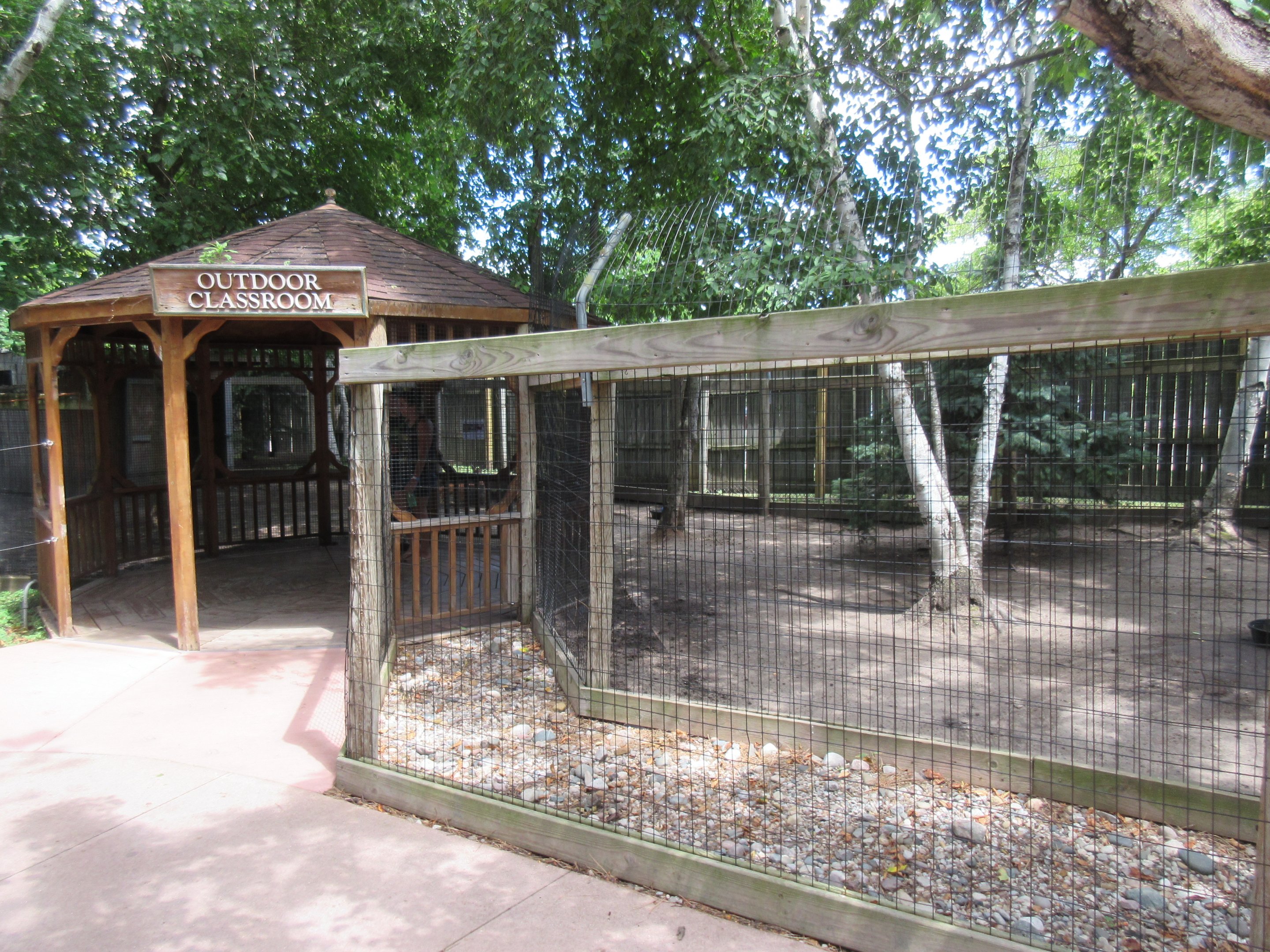 White-tailed Deer Exhibit