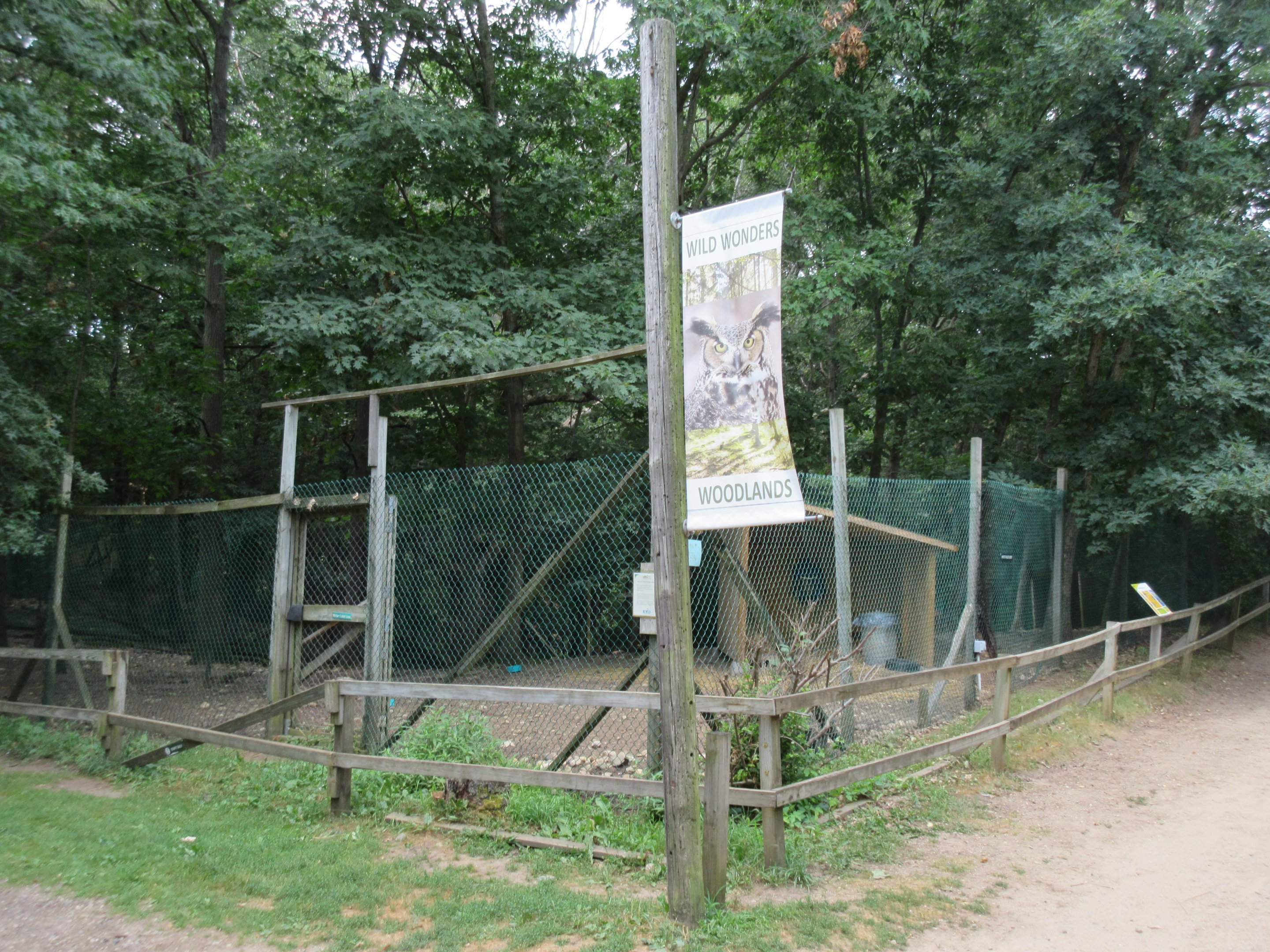 White-tailed Deer Exhibit
