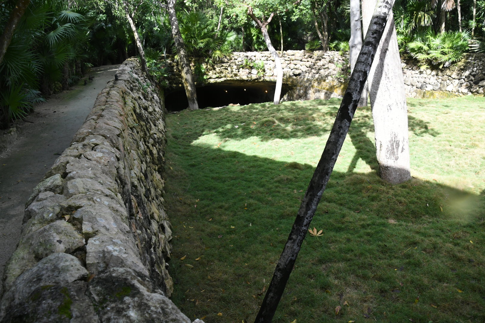 White-tailed Deer Exhibit