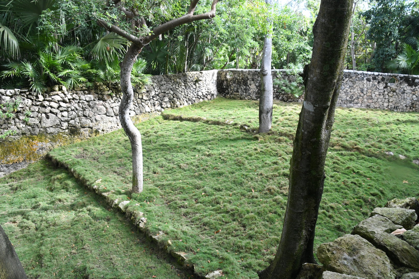 White-tailed Deer Exhibit
