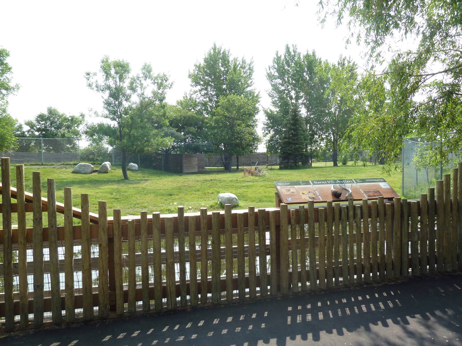 White-Tailed Deer/Mule Deer Exhibit - Viewing Area