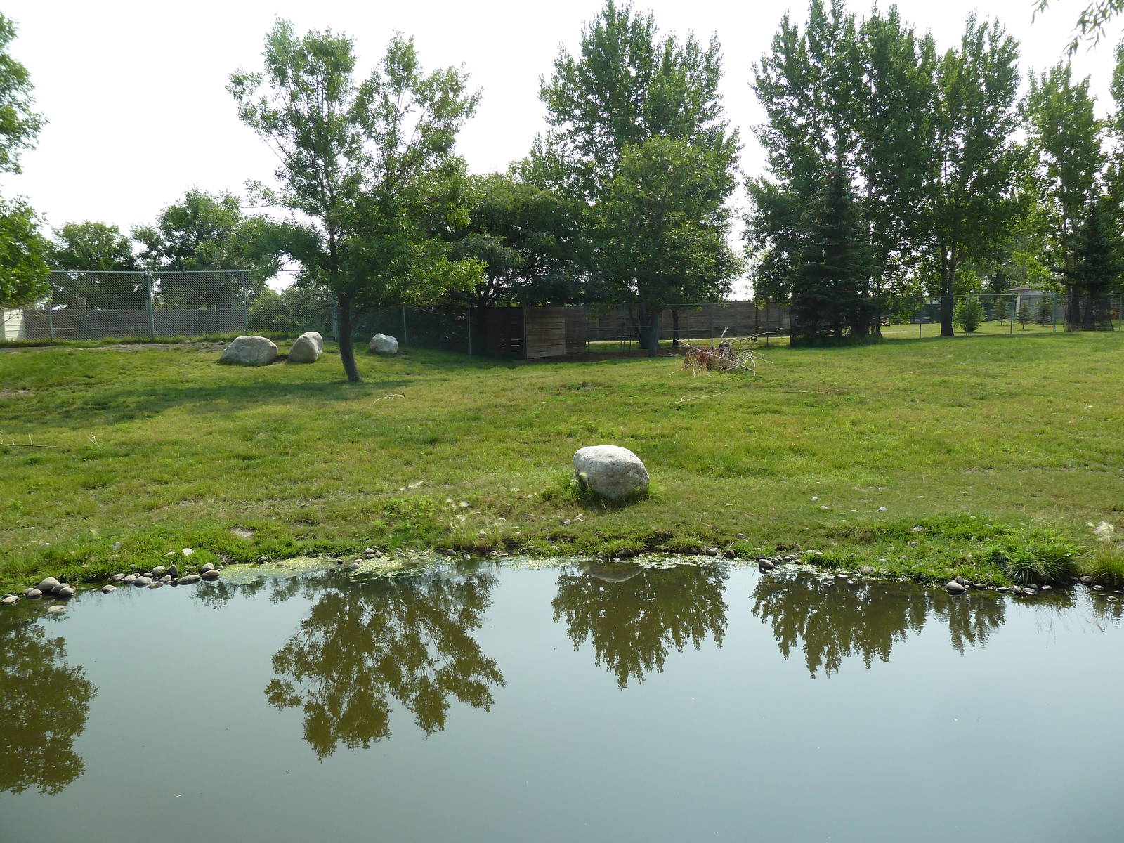 White-Tailed Deer/Mule Deer Exhibit