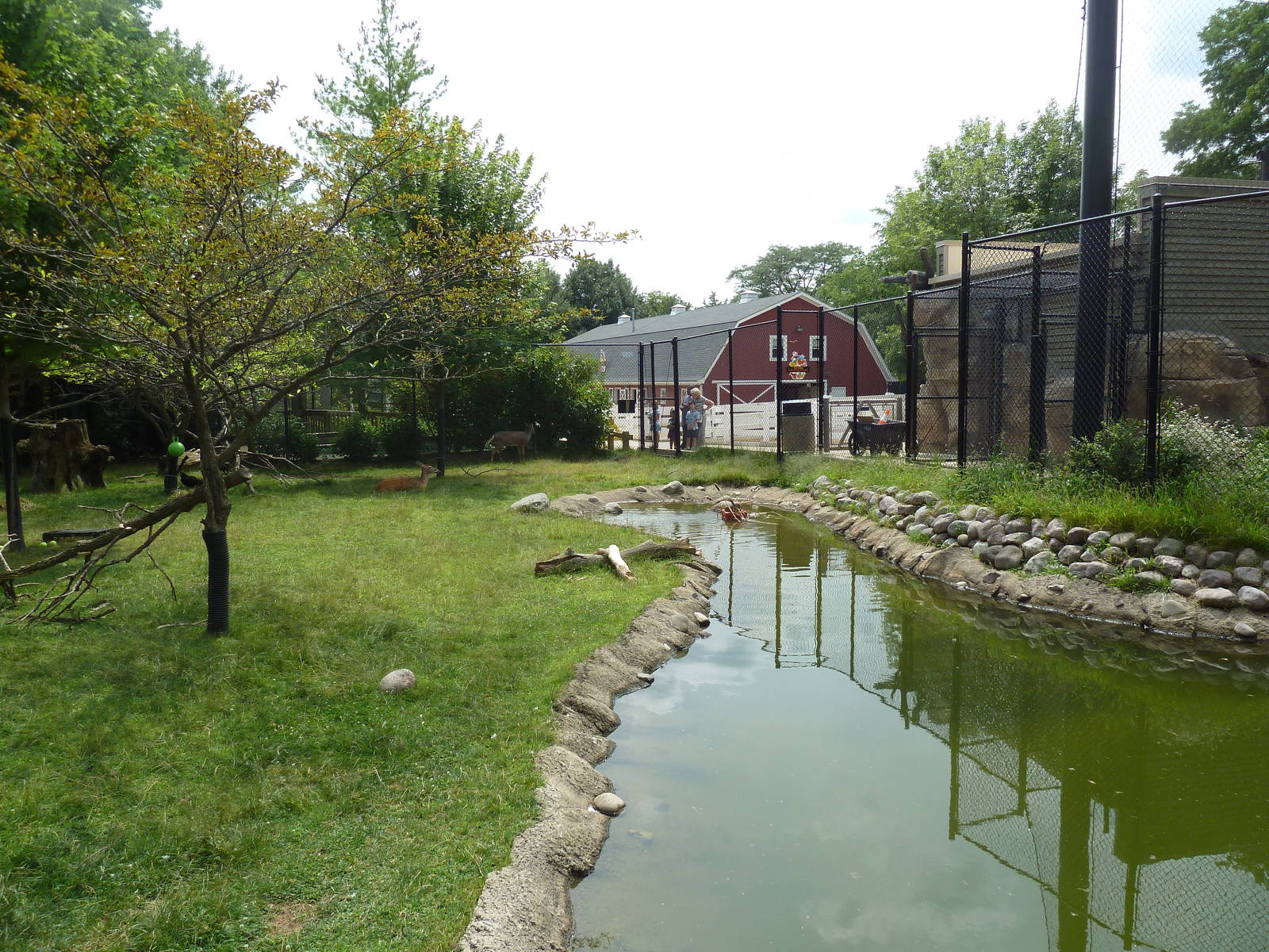White-Tailed Deer/Sandhill Crane/Turkey Vulture Exhibit