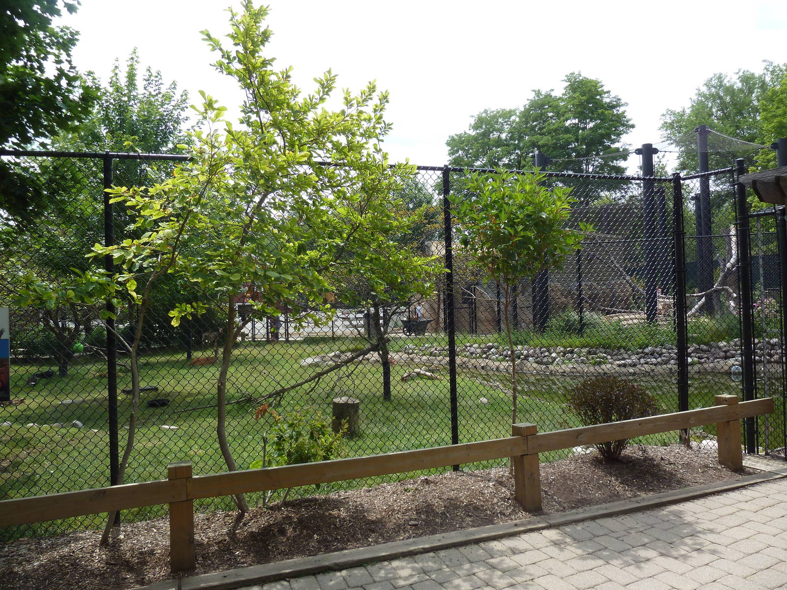 White-Tailed Deer/Sandhill Crane/Turkey Vulture Exhibit