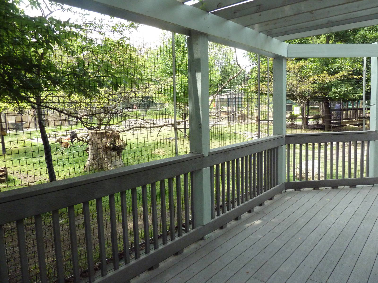 White-Tailed Deer/Sandhill Crane/Turkey Vulture Exhibit