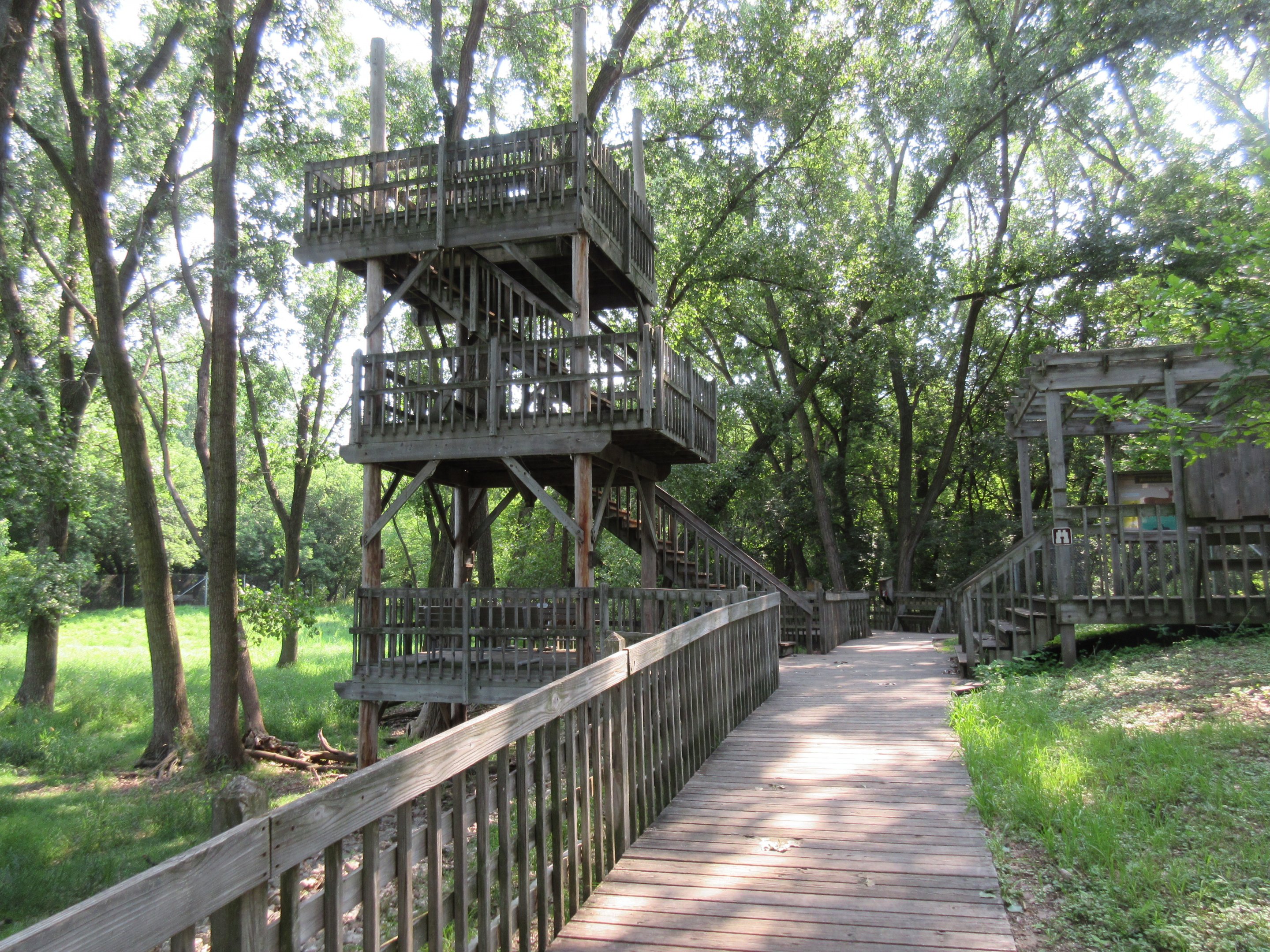 White-tailed Deer/Sandhill Crane/Wild Turkey Exhibit
