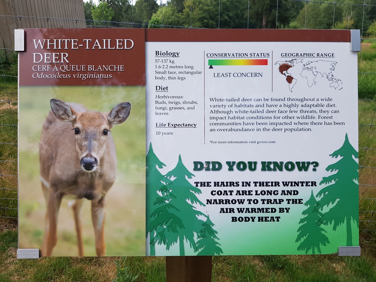 White-Tailed Deer Sign