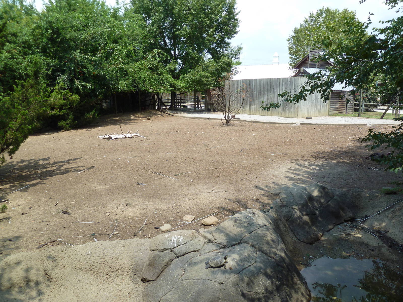 White-Tailed Deer/Wild Turkey Exhibit