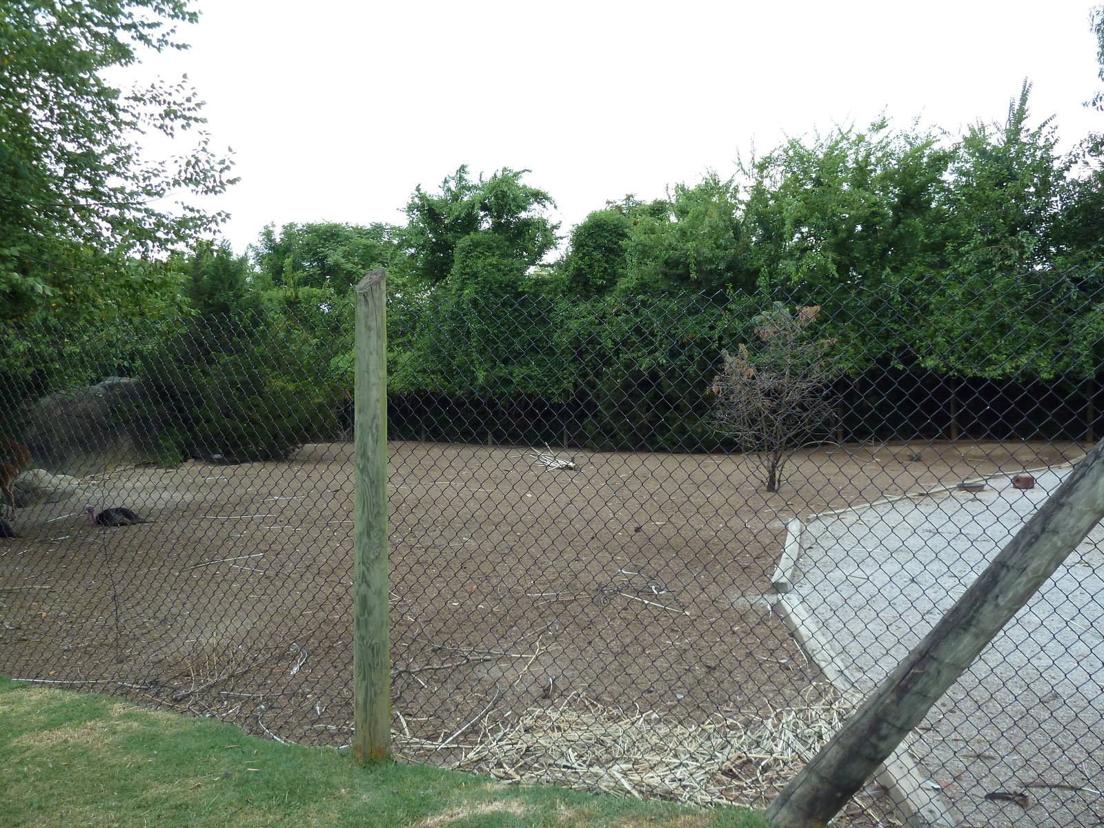 White-Tailed Deer/Wild Turkey Exhibit