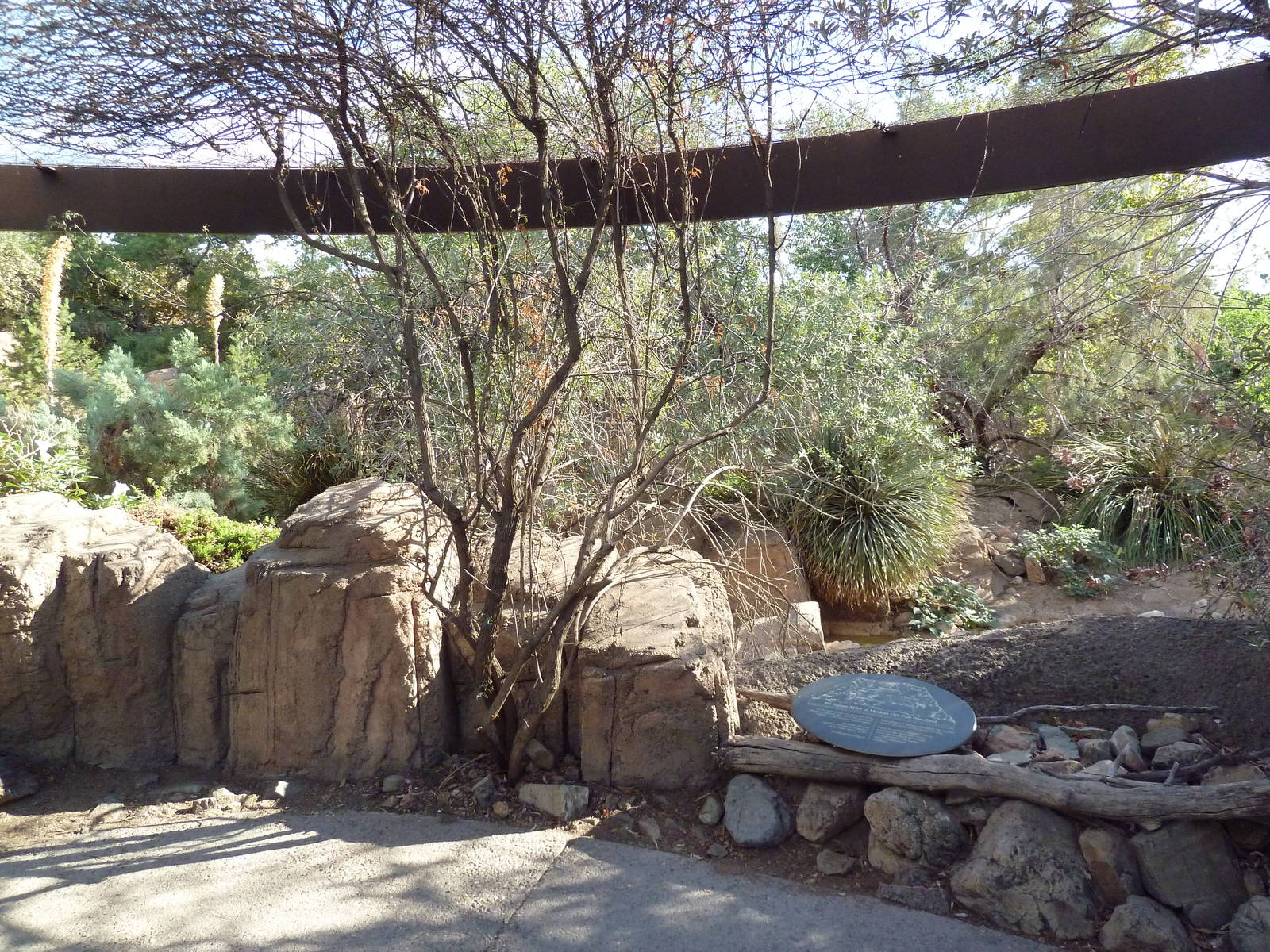 White-Tailed Deer/Wild Turkey Exhibit