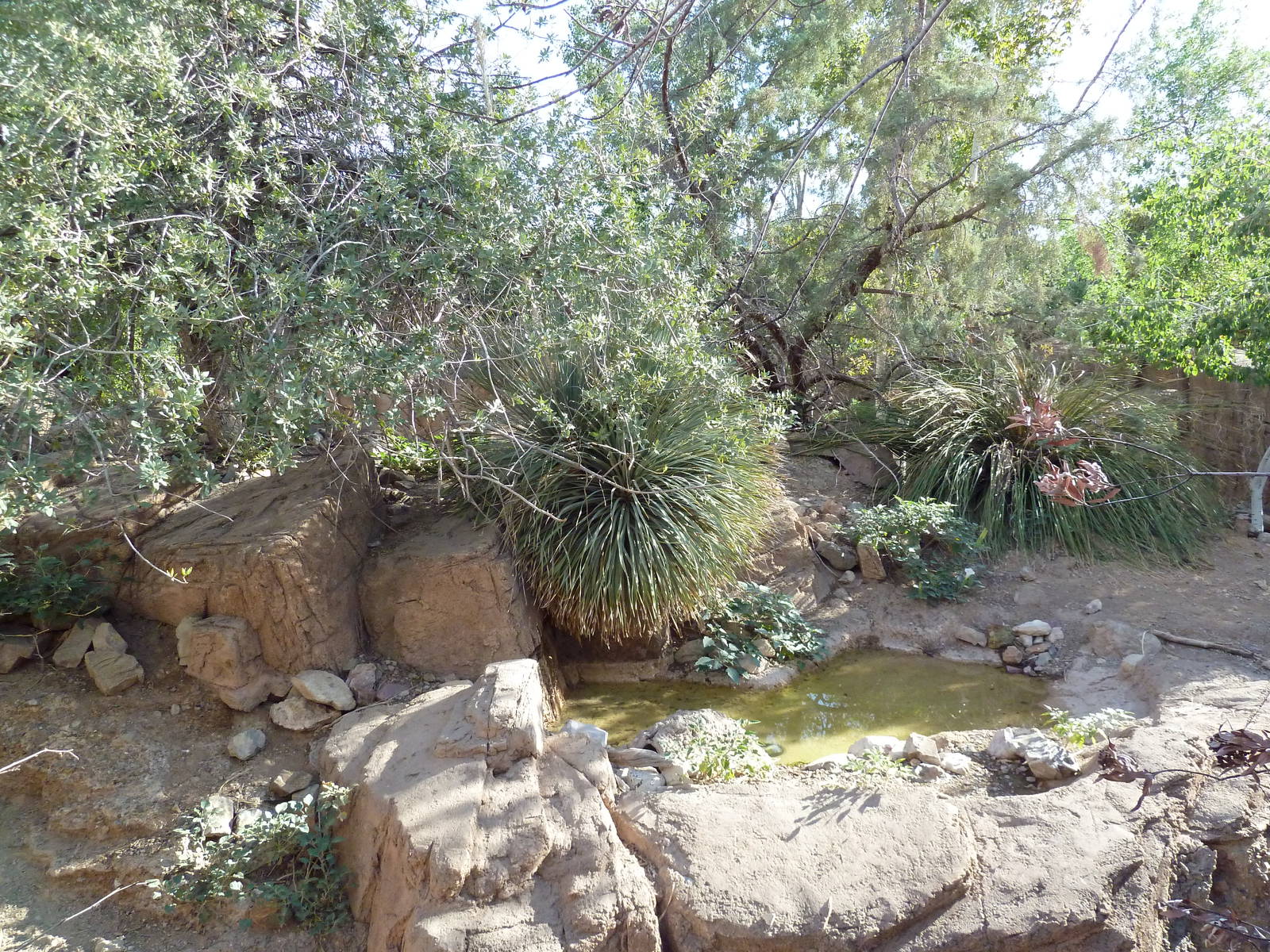 White-Tailed Deer/Wild Turkey Exhibit