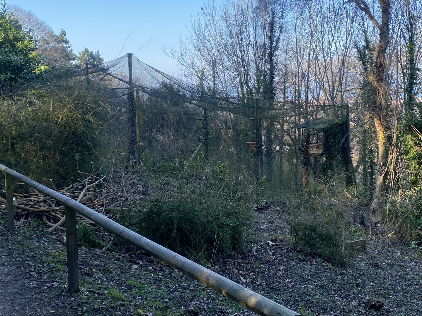 White-tailed eagle aviary 190325
