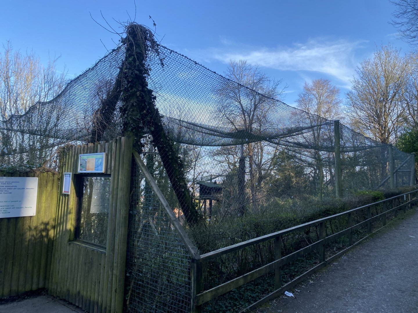 White-tailed eagle aviary 190325
