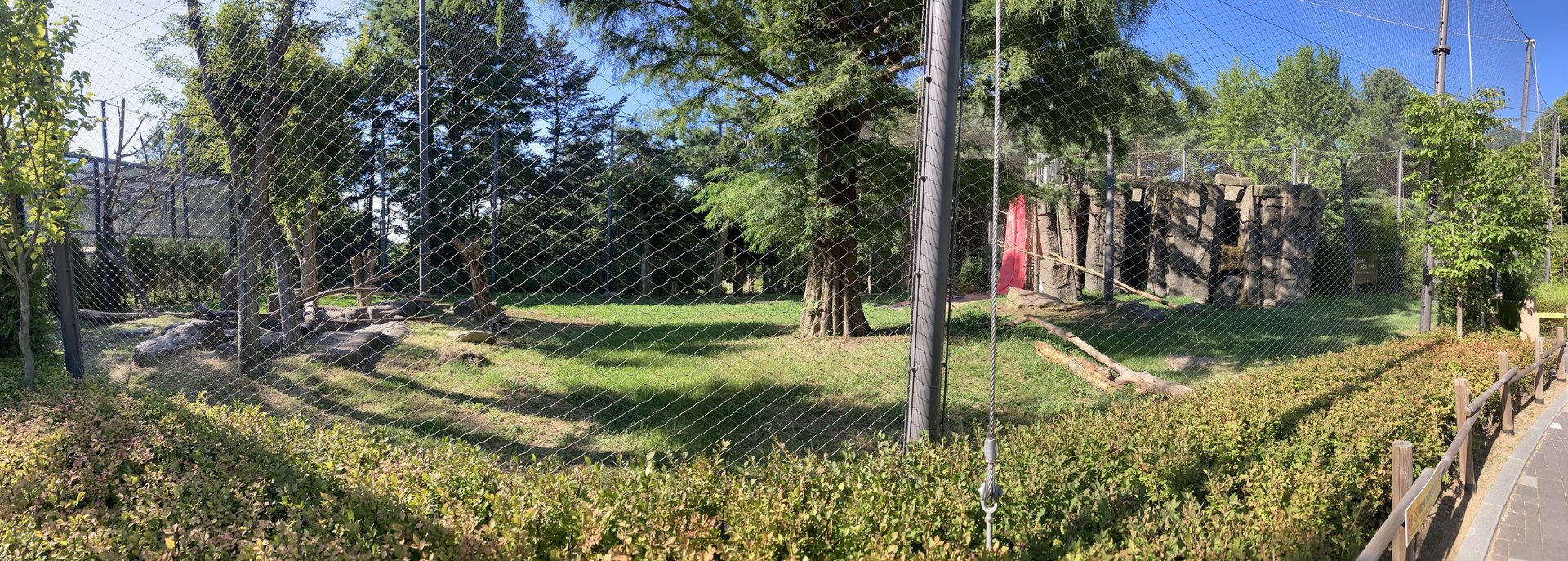 White tailed eagle aviary (pano)
