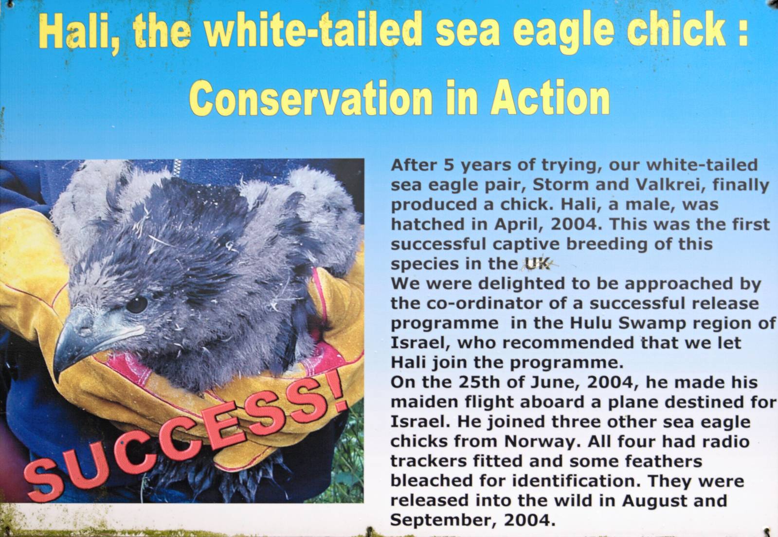 White-tailed Eagle Conservation sign