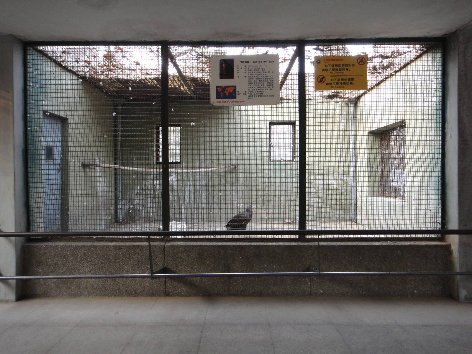 White-tailed Eagle enclosure