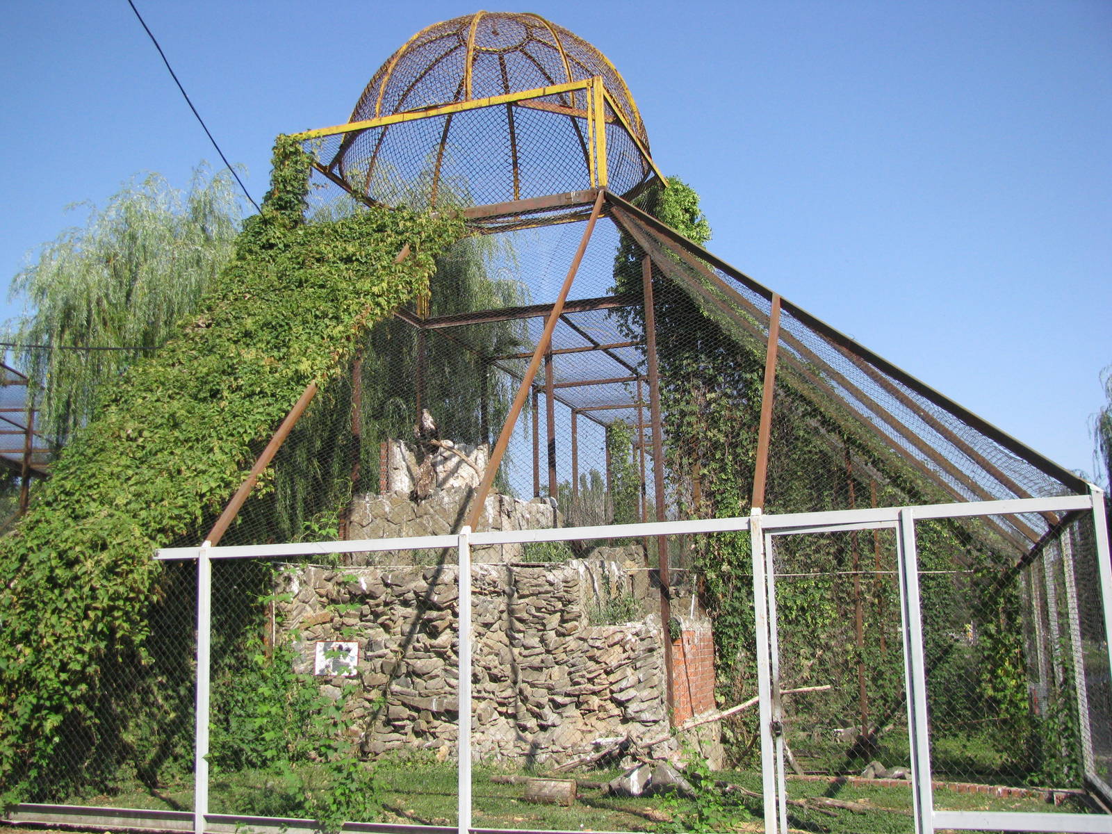 White-tailed eagle exhibit