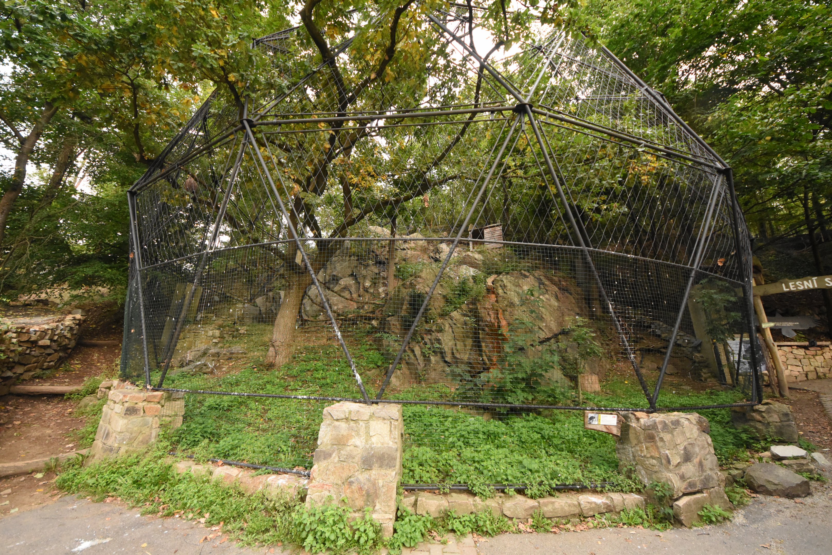 White-tailed sea eagle enclosure