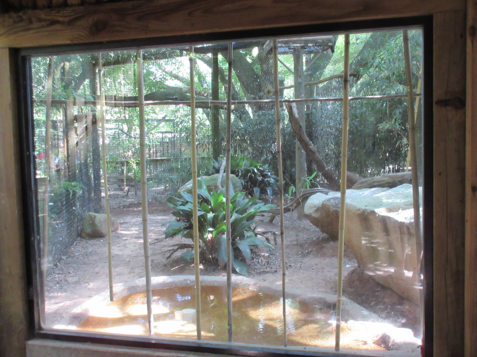 White-Tailed Sea Eagle Exhibit - Viewing Window