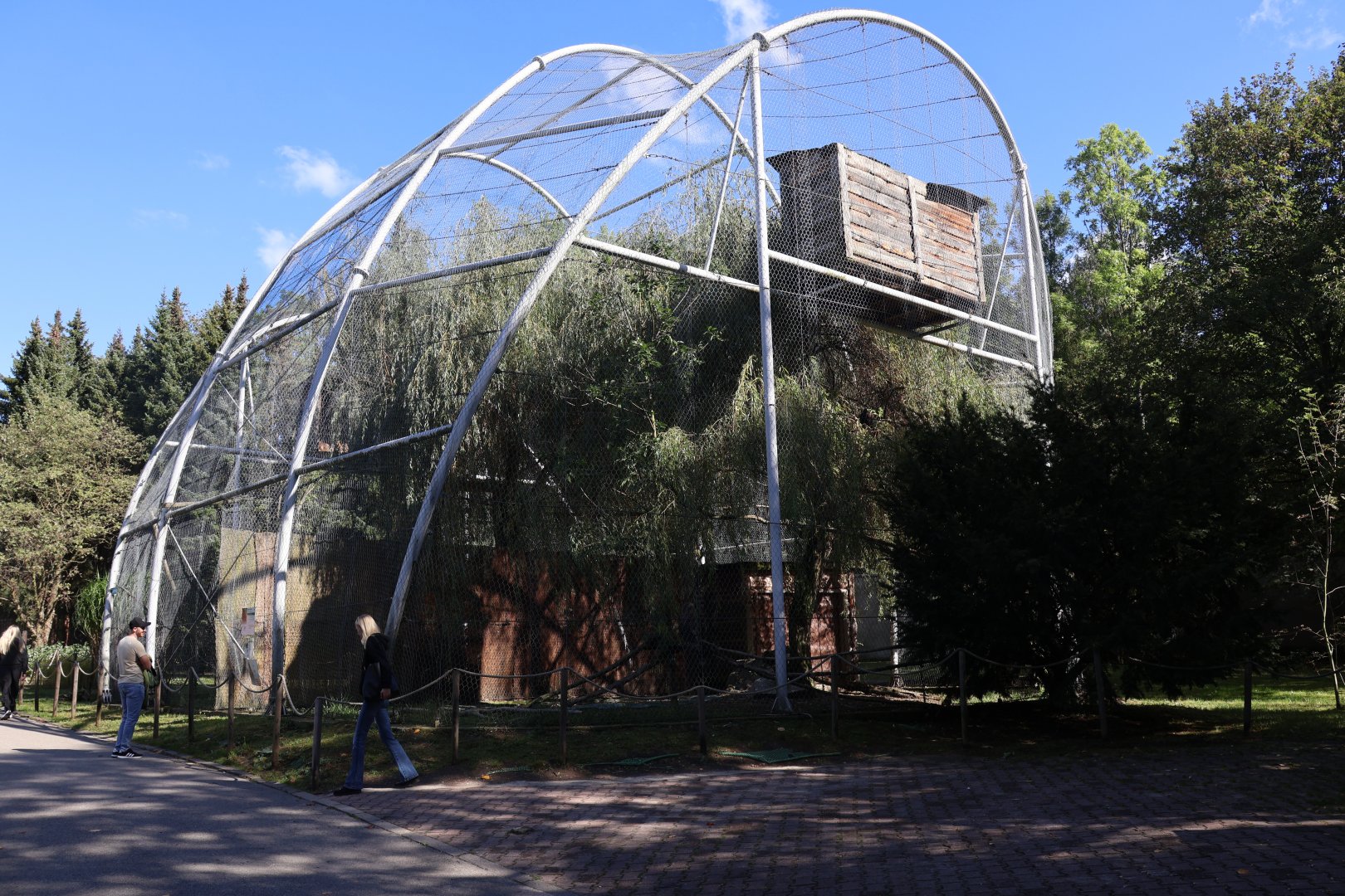White-tailed Sea Eagle (Haliaeetus albicilla) aviary