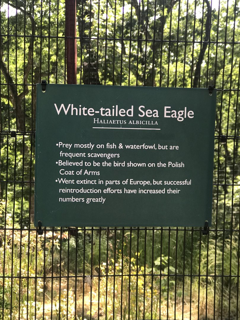White-tailed Sea Eagle Signage