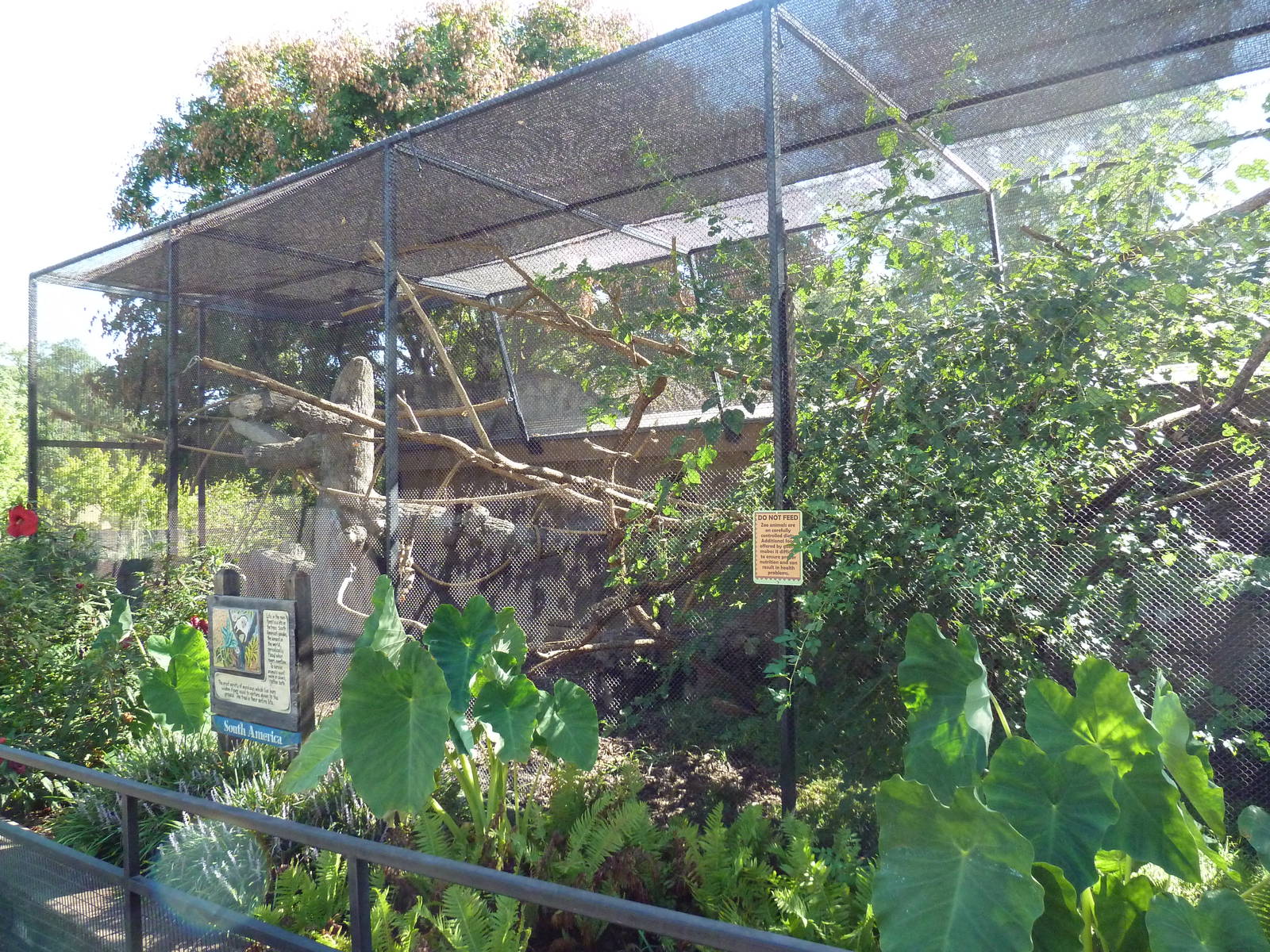 White-Throated Capuchin/Blue + Yellow Macaw Exhibit