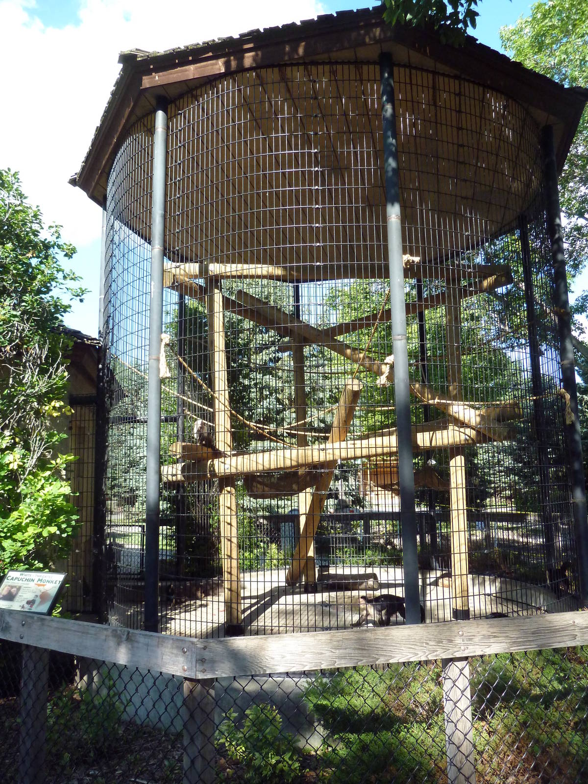 White-Throated Capuchin Exhibit