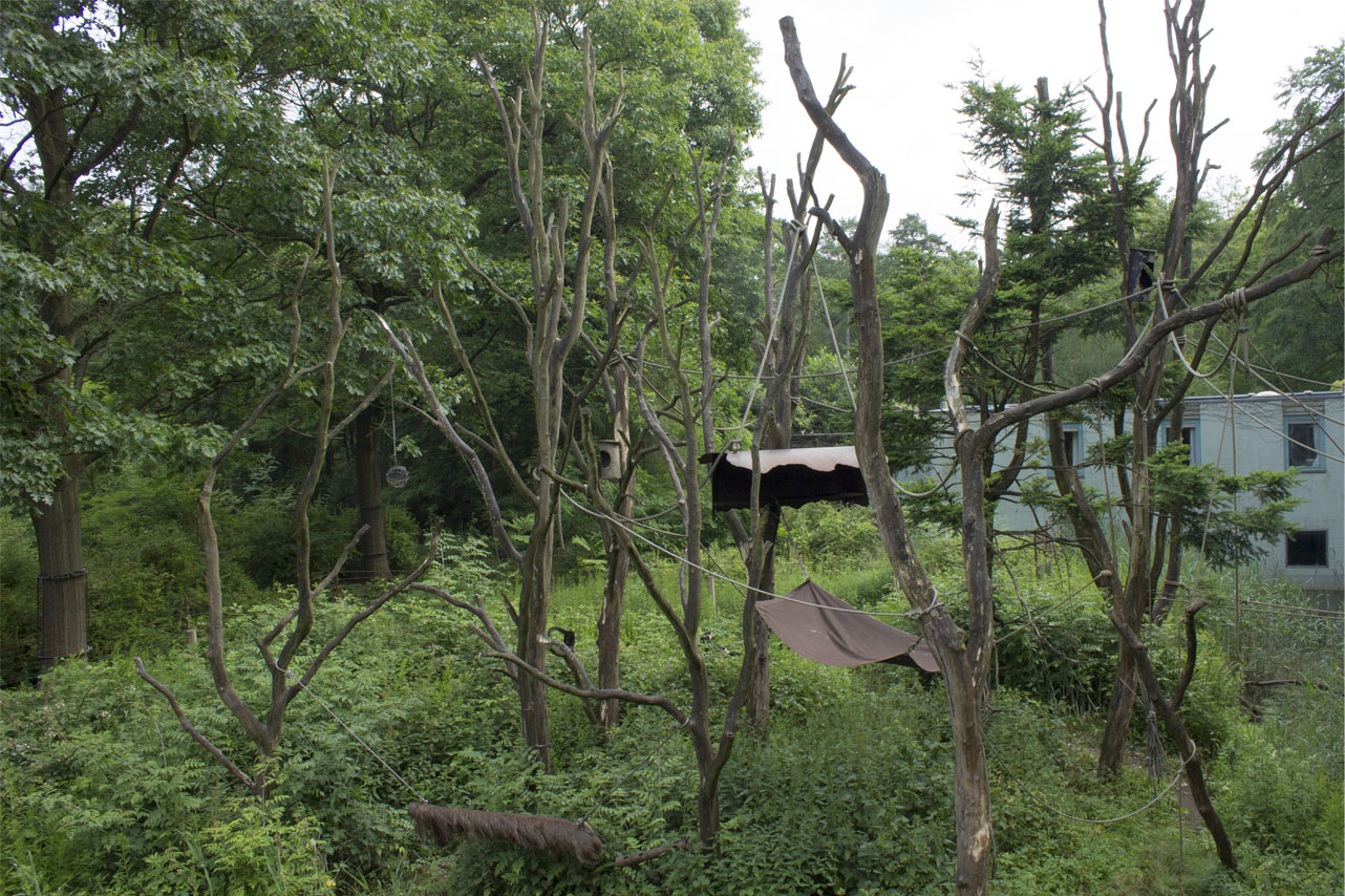 White-throated capuchin islands, 6/28/14