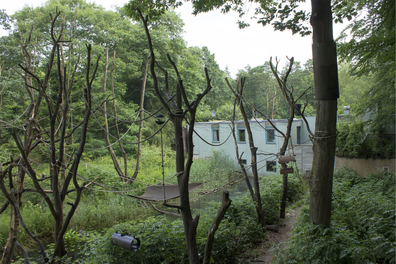 White-throated capuchin islands, 6/28/14