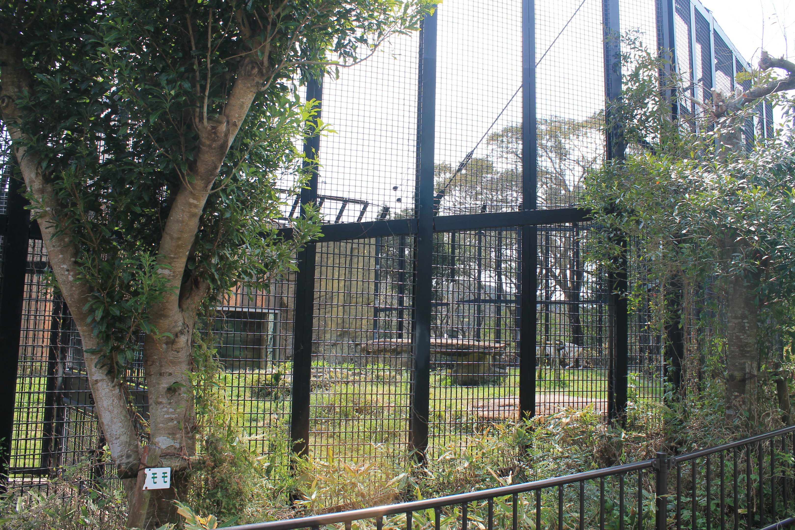 White Tiger cage - Hirakawa Zoo (Kagoshima)