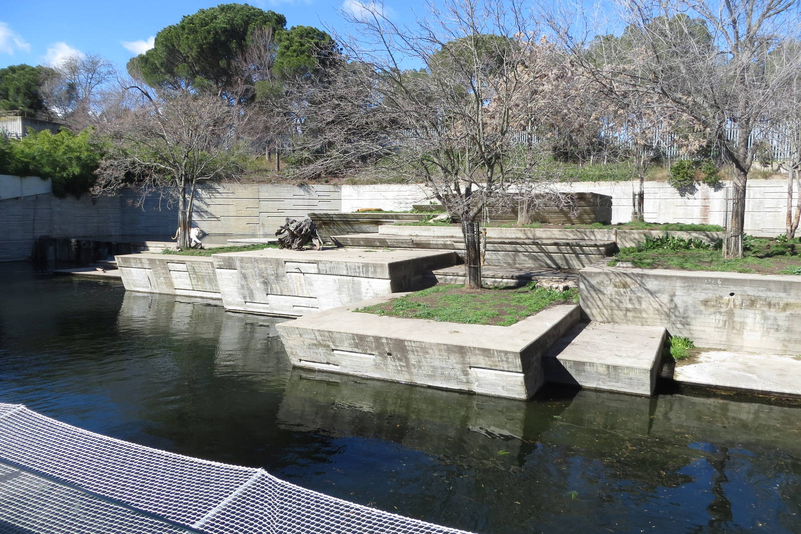 White Tiger enclosure 150216