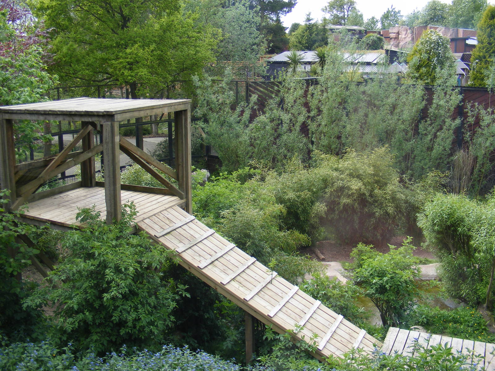 White tiger enclosure 4 May 2009