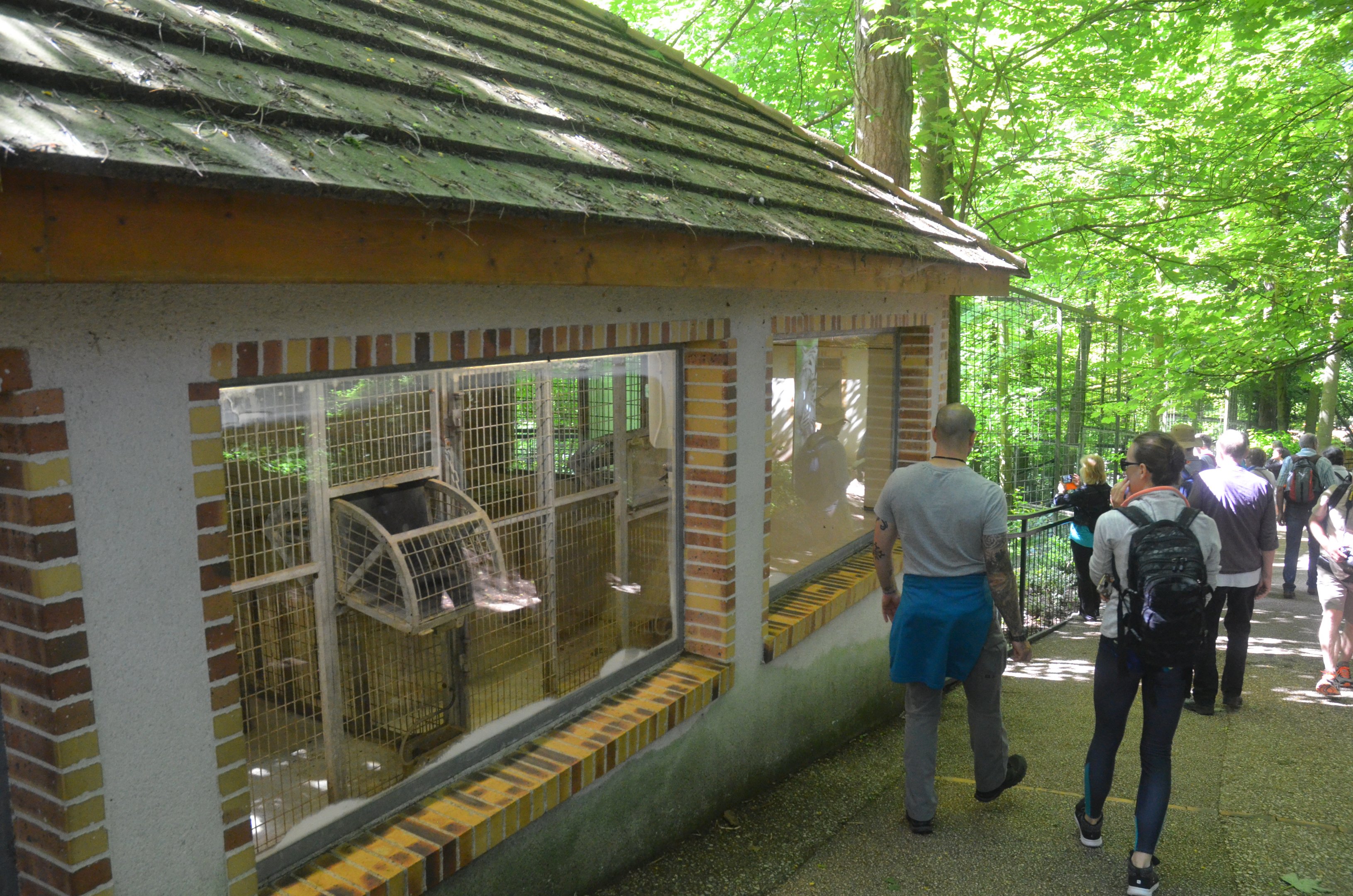 White Tiger Enclosure at Beauval, 12/06/18
