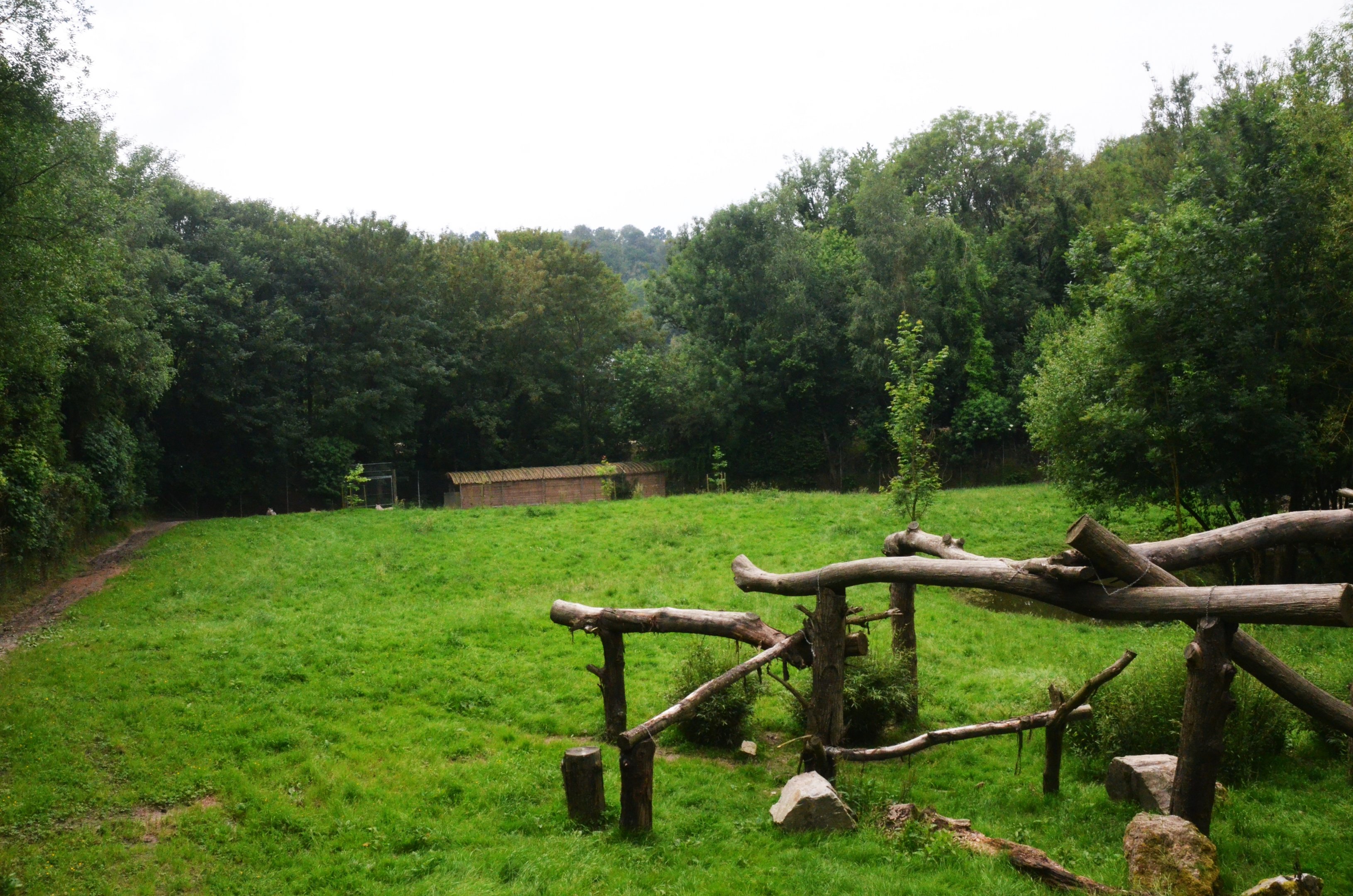White Tiger Enclosure at CERZA, 10/06/18