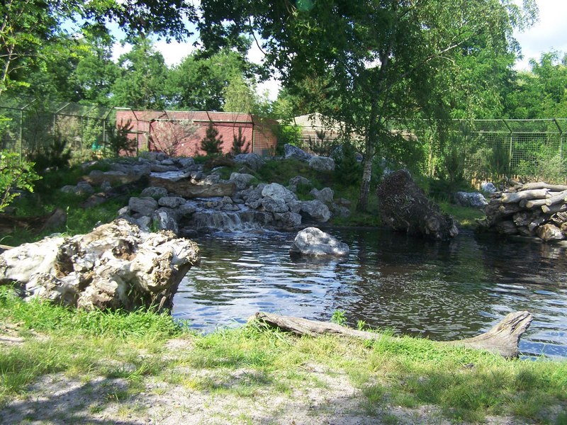 white tiger enclosure