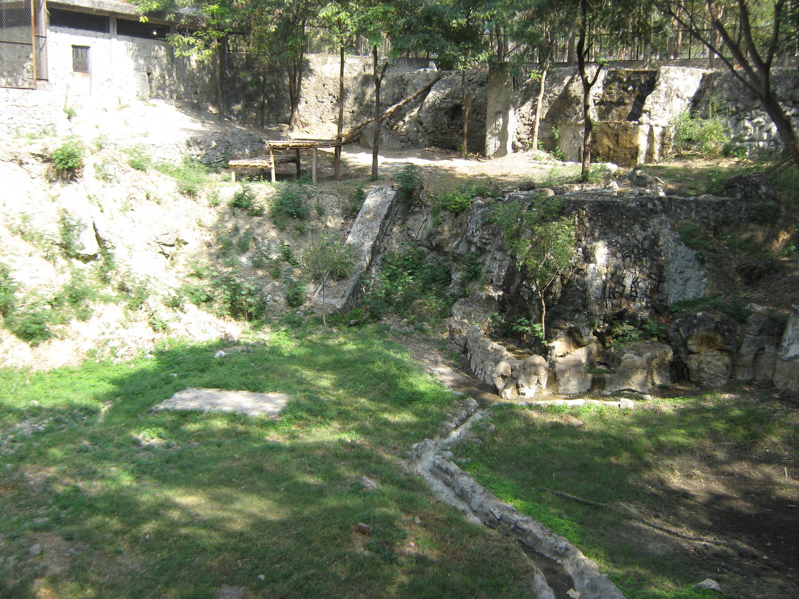 white tiger enclosure