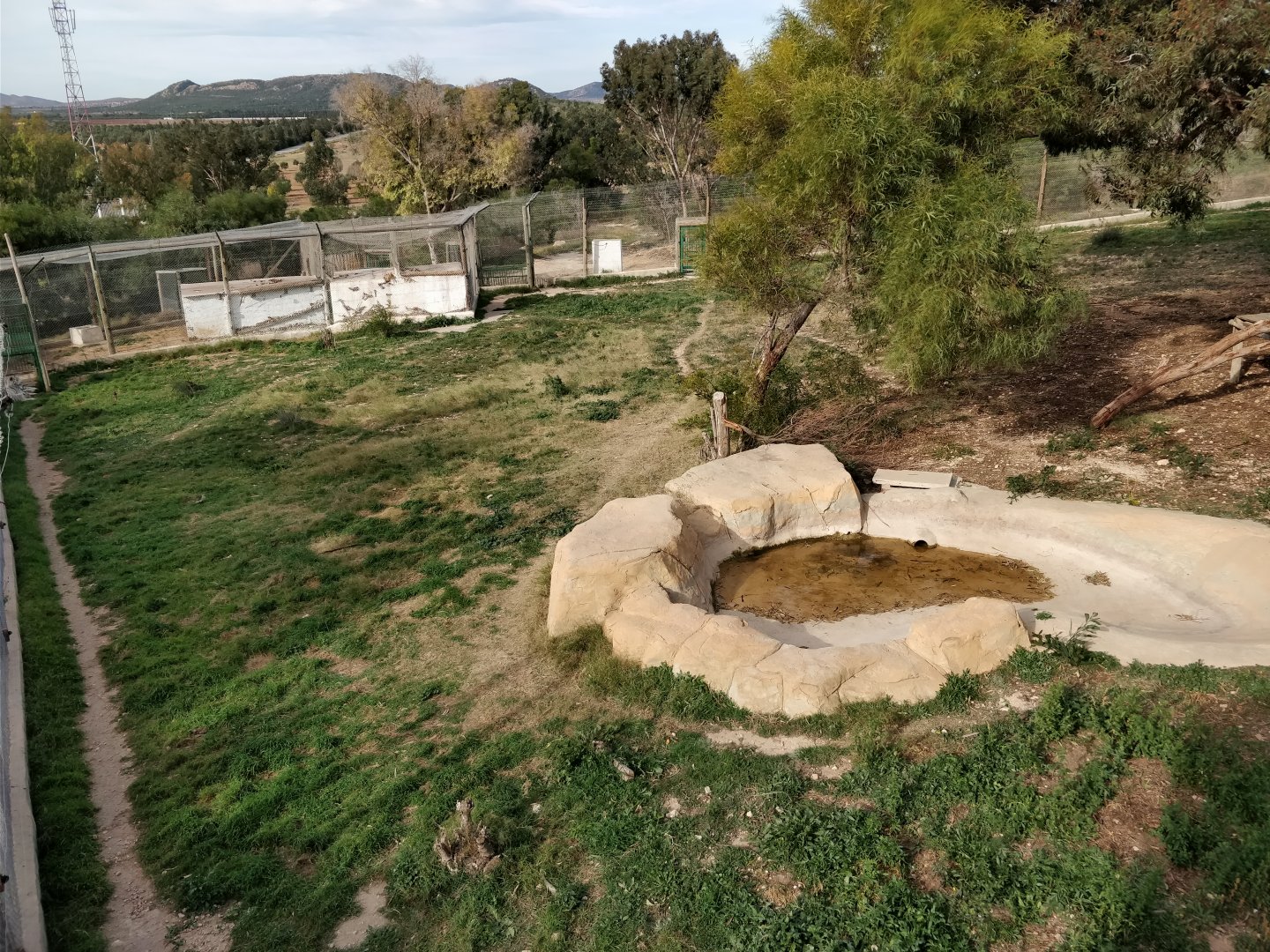 white tiger enclosure