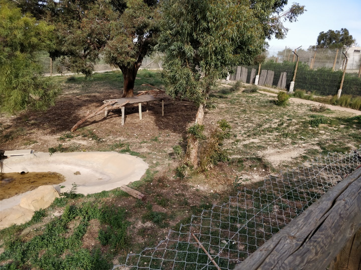 white tiger enclosure